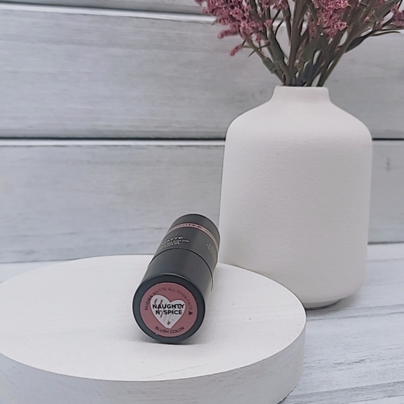 Nudestix Nudies Matte All Over Face Blush Color - Picture 3 of 5